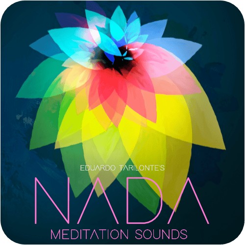 ENGINE AUDIO/NADA【オンライン納品】【在庫あり】