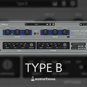 Audio Thing/TYPE B【オンライン納品】【在庫あり】