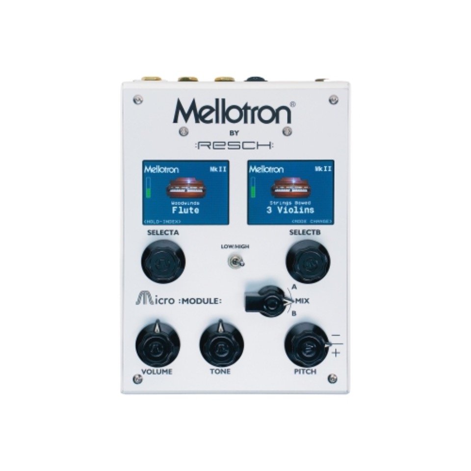 Mellotron/Micro Module