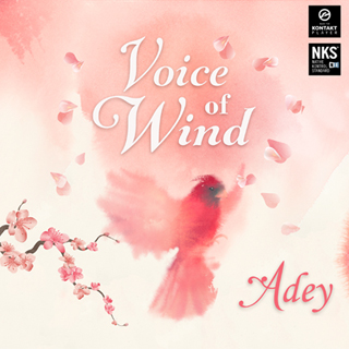 SOUNDIRON/VOICE OF WIND: ADEY【～05/12 期間限定特価キャンペーン】【オンライン納品】【在庫あり】