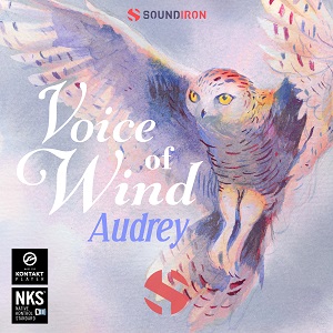 SOUNDIRON/VOICE OF WIND: AUDREY 【～05/12 期間限定特価キャンペーン】【オンライン納品】【在庫あり】