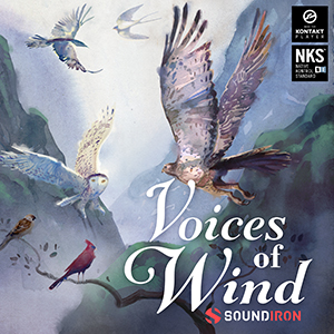 SOUNDIRON/VOICE OF WIND: COLLECTION 【～05/12 期間限定特価キャンペーン】【オンライン納品】【在庫あり】