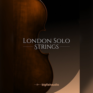BIG FISH AUDIO/London Solo Strings【オンライン納品】