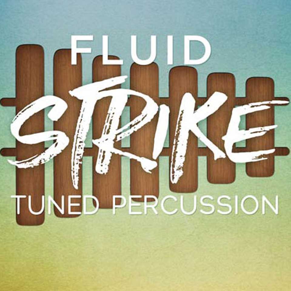 In Session Audio/FLUID STRIKE 【～05/12 期間限定特価キャンペーン】【オンライン納品】【在庫あり】