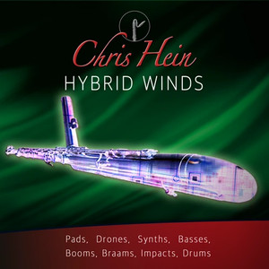 BEST SERVICE/CHRIS HEIN HYBRID WINDS【オンライン納品】【在庫あり】