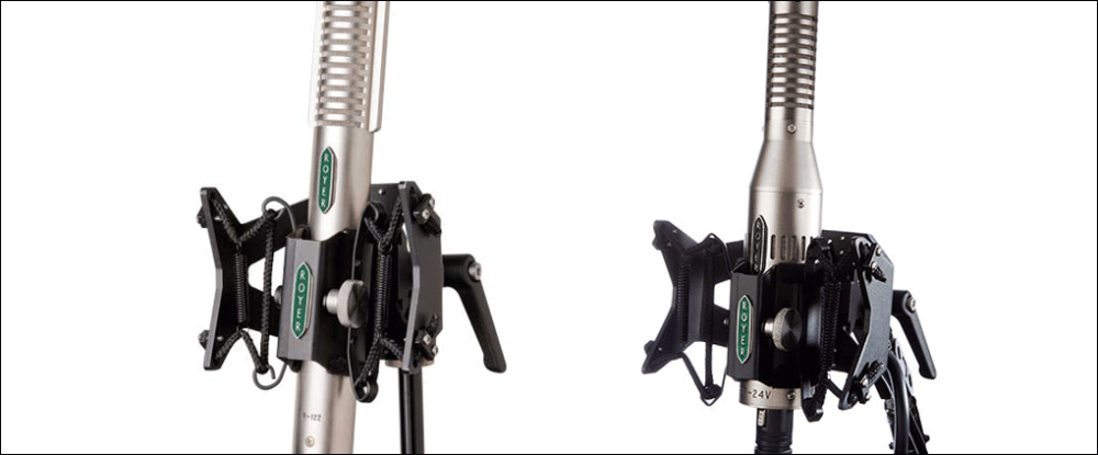 Royer Labs/RSM-SS24【検品後出荷】【在庫あり】