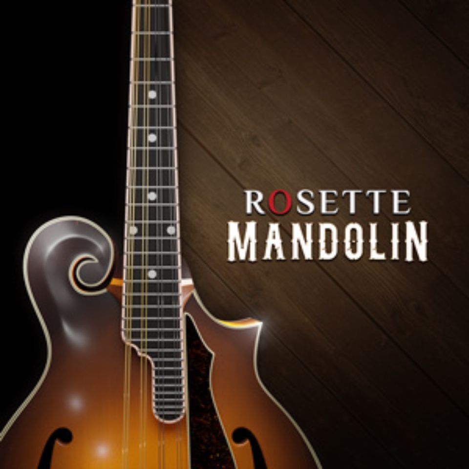 IMPACT SOUNDWORKS/ROSETTE MANDOLIN【オンライン納品】【在庫あり】