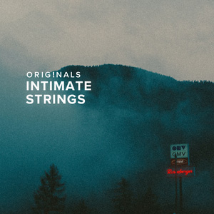 SPITFIRE AUDIO/ORIGINALS INTIMATE STRINGS【～05/04 期間限定特価キャンペーン】【オンライン納品】【在庫あり】