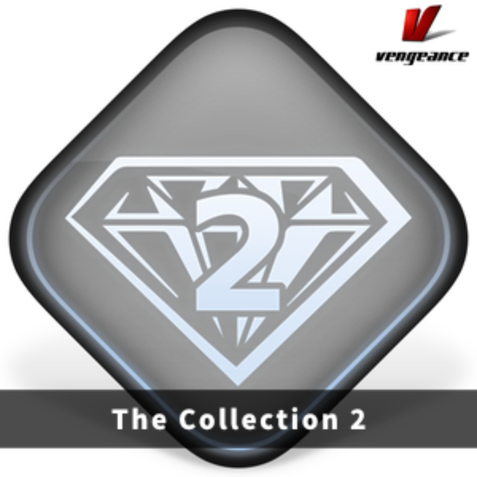 VENGEANCE SOUND/THE COLLECTION 2【オンライン納品】【在庫あり】