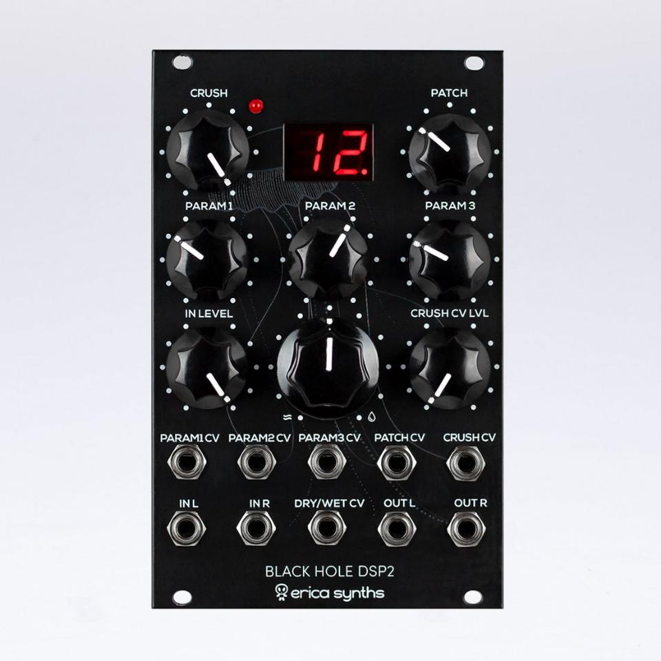 Erica Synths/Black Hole DSP 2【WTG】【在庫あり】