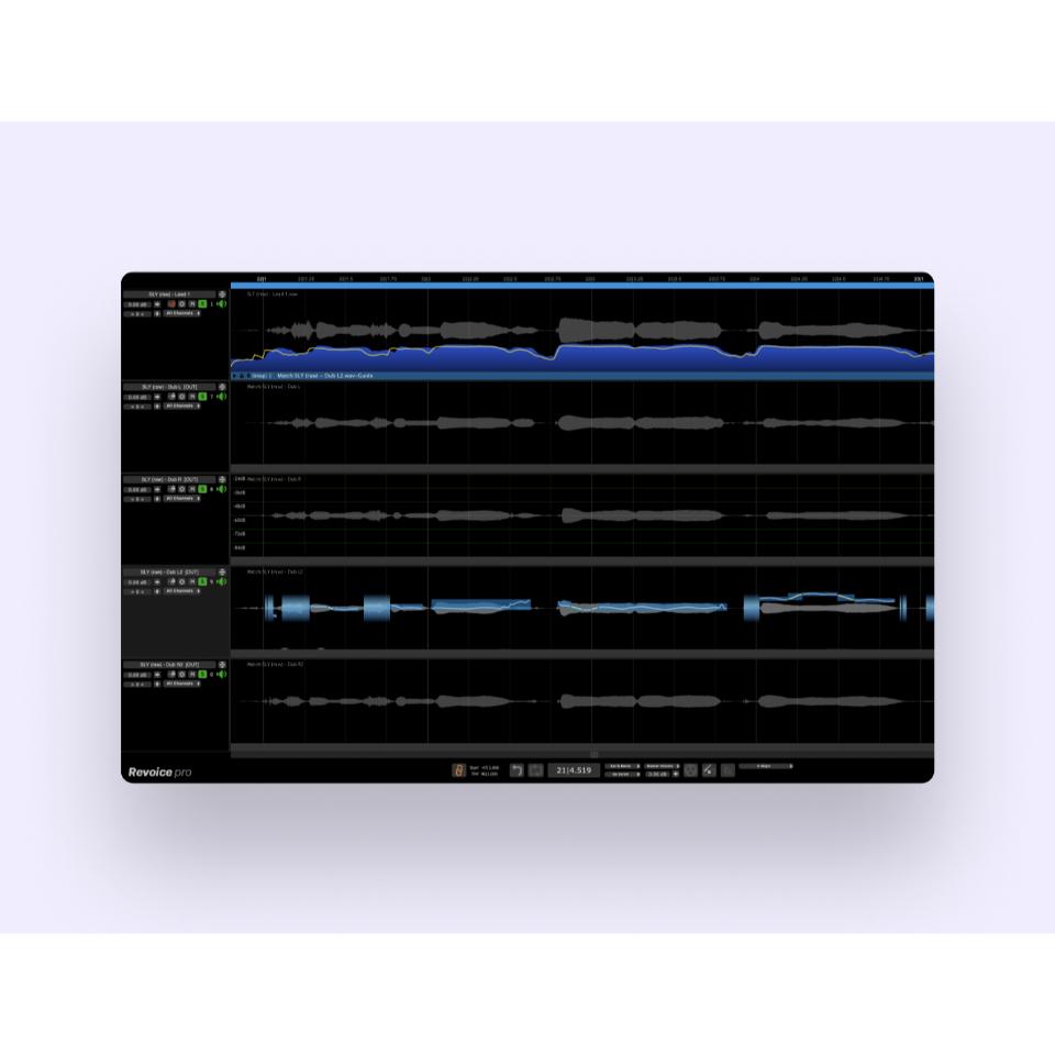 SynchroArts/Revoice Pro 5 - New License【オンライン納品】