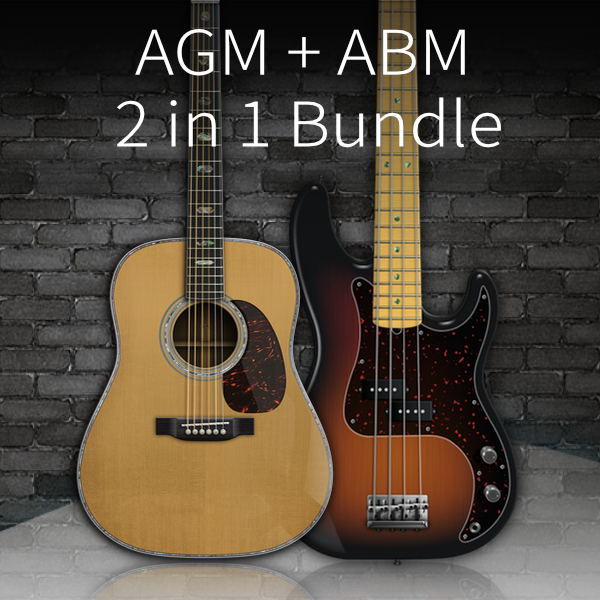 AMPLE SOUND/AGM + ABP 2 in 1 Bundle【～08/31 期間限定特価キャンペーン】【オンライン納品】【在庫あり】