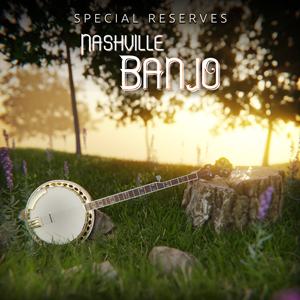 IMPACT SOUNDWORKS/NASHVILLE BANJO【オンライン納品】【在庫あり】