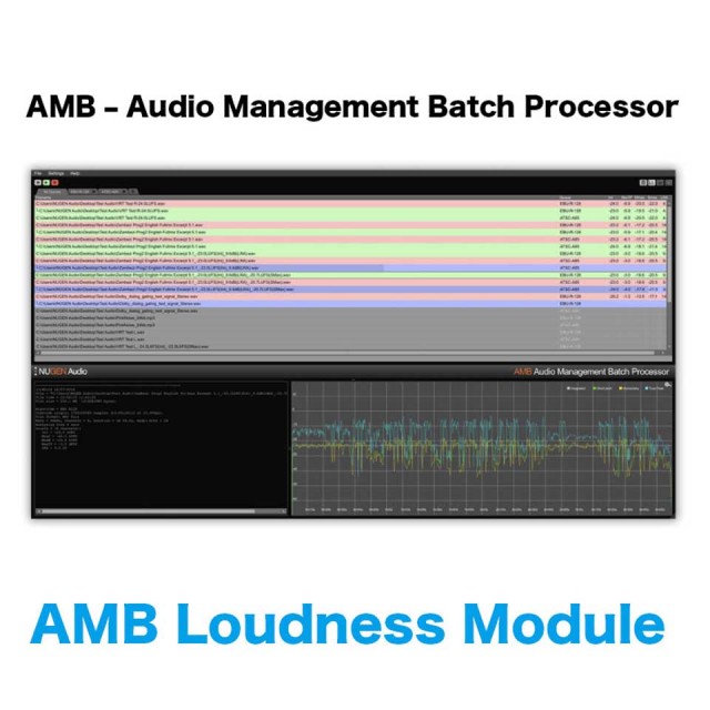 Nugen Audio/AMB Loudness Module【オンライン納品】