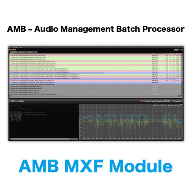 Nugen Audio/AMB MXF Module【オンライン納品】