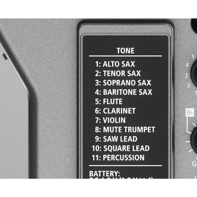 Roland/AE-05 Aerophone GO
