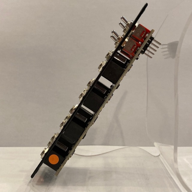 Noise Engineering/Quantus Ampla Black【お取り寄せ商品】