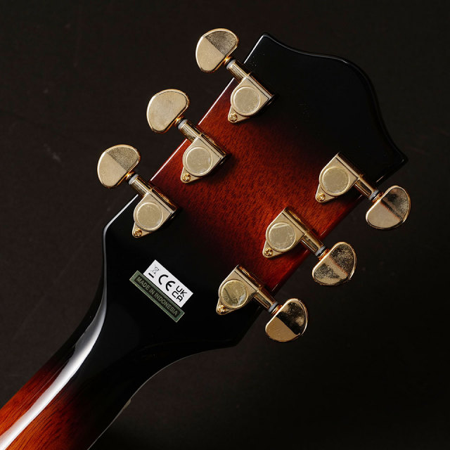 Gretsch/G5031FT RANCHER DREADNOUGHT FIDELI-TRON PICKUP SUNBURST