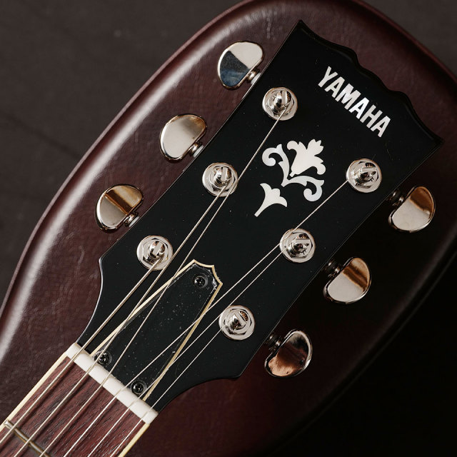 YAMAHA/SG1802 GOLD TOP【お取り寄せ商品】