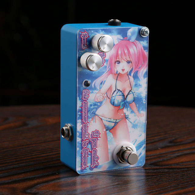 ギター sound project siva Sound Project SIVA Only flowers know our secret talk Guitar