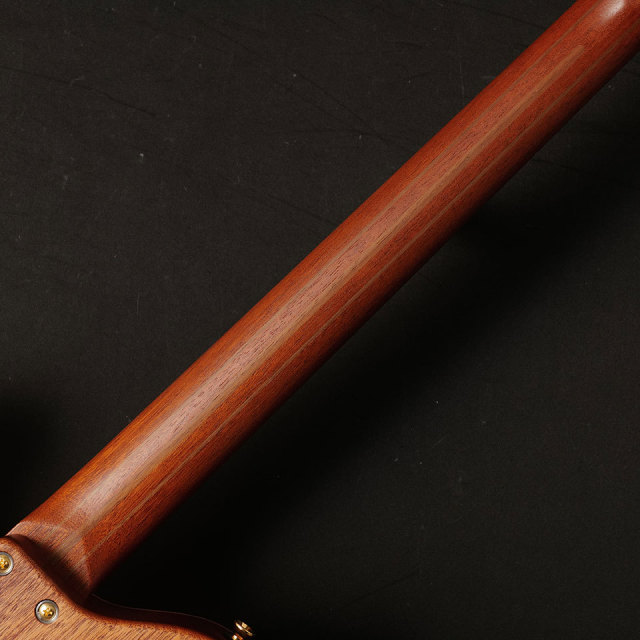 dragonfly/Border Custom 666 (Brown Amber Half-Matte)【在庫あり】