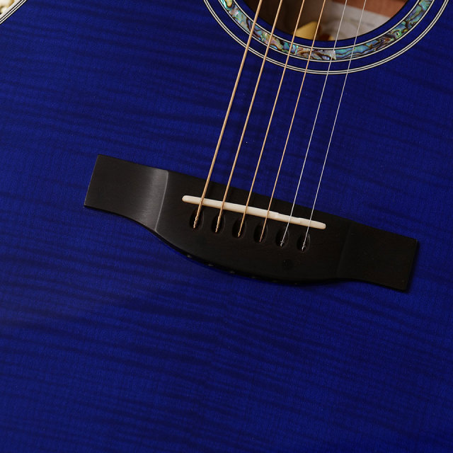 Morris/TC-16 SBU 【お取り寄せ商品】