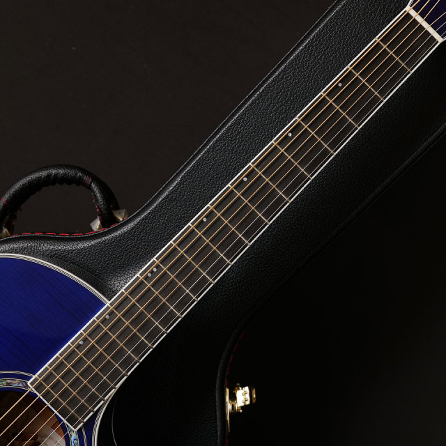 Morris/TC-16 SBU 【お取り寄せ商品】