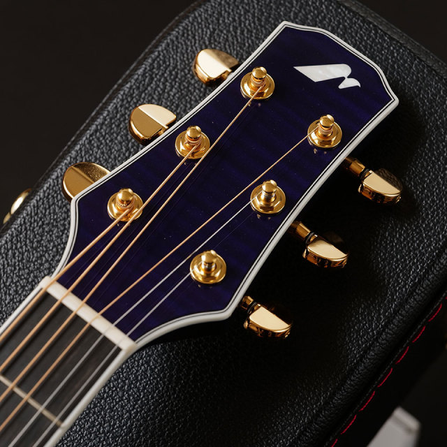 Morris/TC-16 SBU 【お取り寄せ商品】