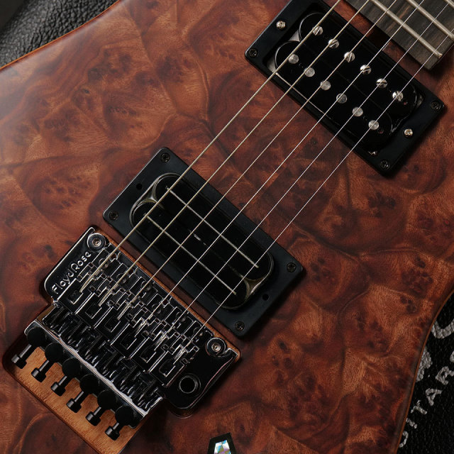 Washburn/N4-Nuno Burl Maple (Vintage Matte)【在庫あり】