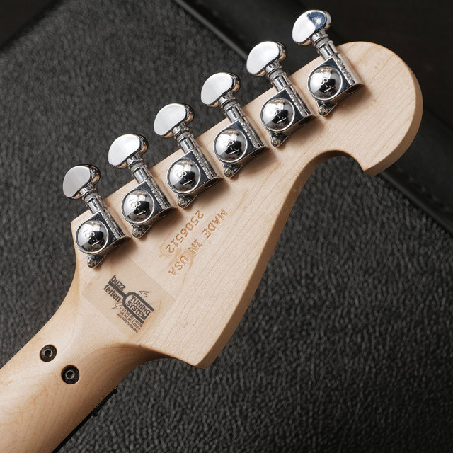 Washburn/N4-Nuno Burl Maple (Vintage Matte)【在庫あり】