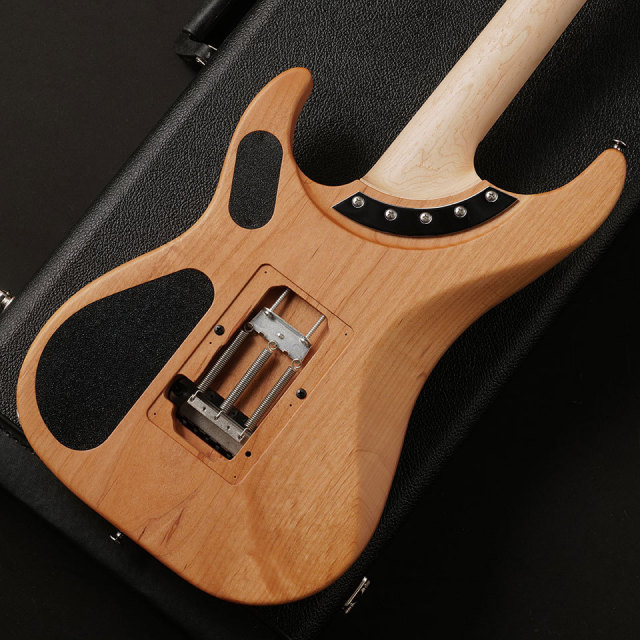 Washburn/N4-Nuno Burl Maple (Vintage Matte)【在庫あり】
