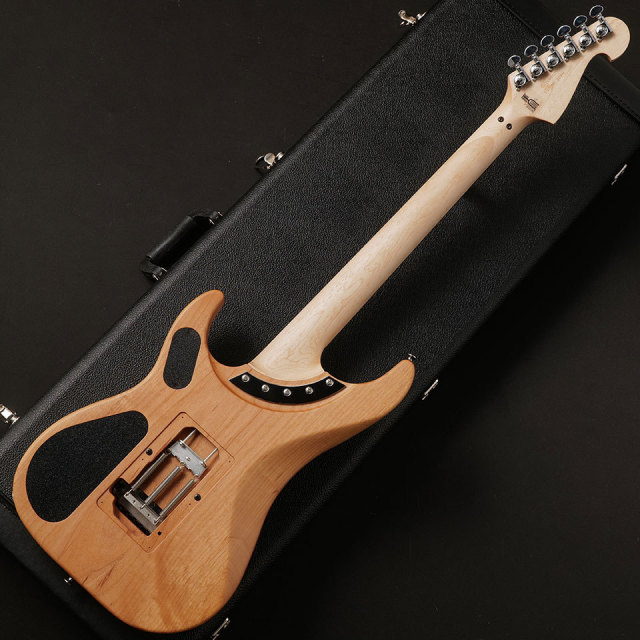 Washburn/N4-Nuno Burl Maple (Vintage Matte)【在庫あり】