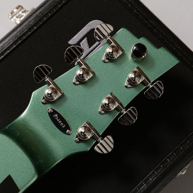 ギター AES106 Stella Floating Dream 1960s Harmony Stella H929 Parlor Guitar