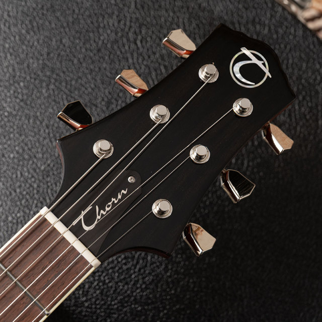 Thorn Custom Guitars/FLORENTINE DeLUXE【参考商品ページ：オーダー