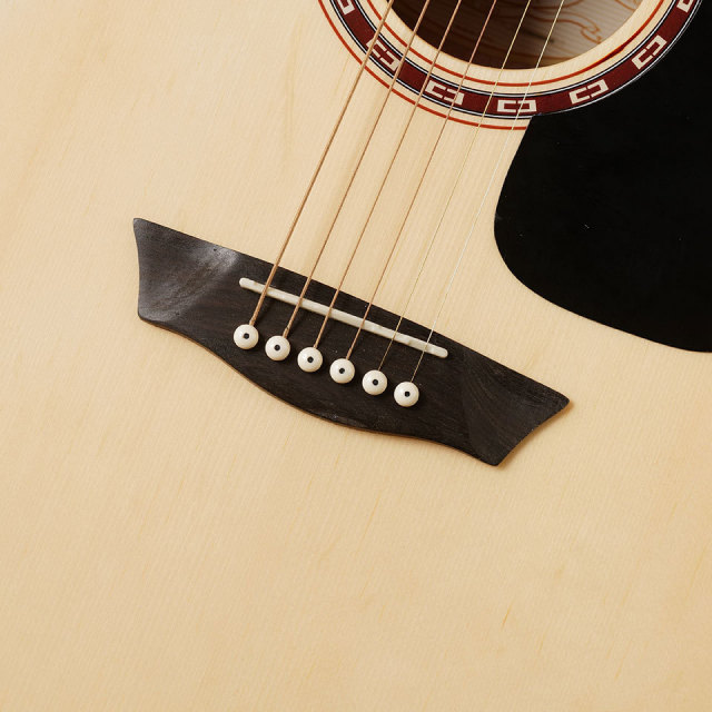 Washburn/D5【お取り寄せ商品】