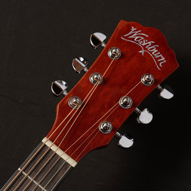 Washburn/D5【お取り寄せ商品】