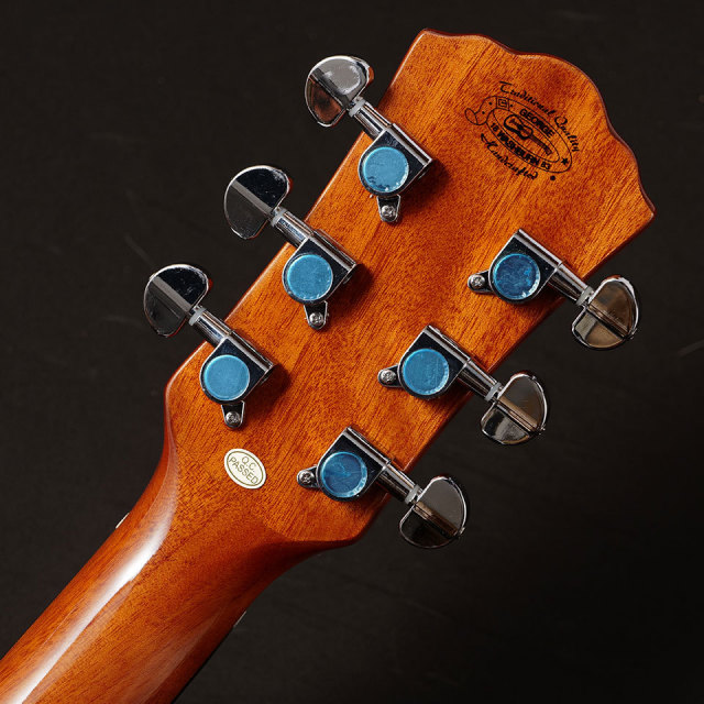 Washburn/D5【お取り寄せ商品】