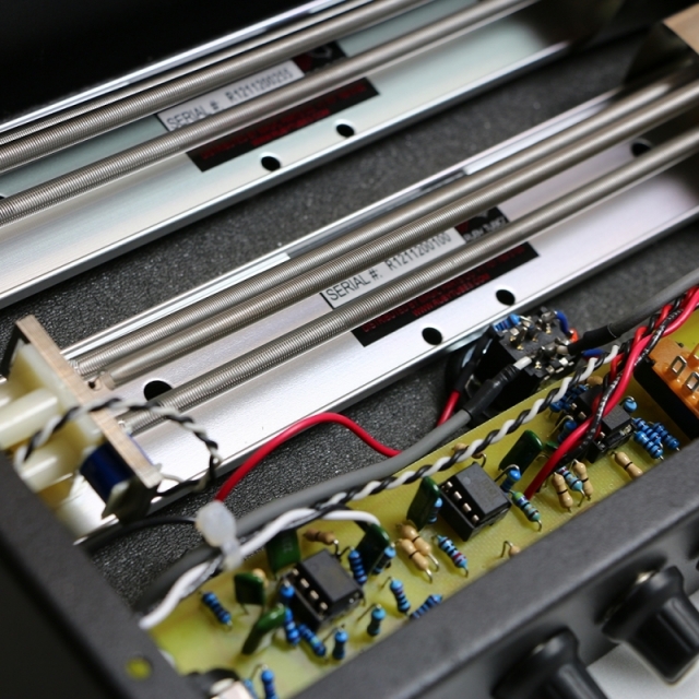 Demeter Amplification/RRP-1【お取り寄せ商品】