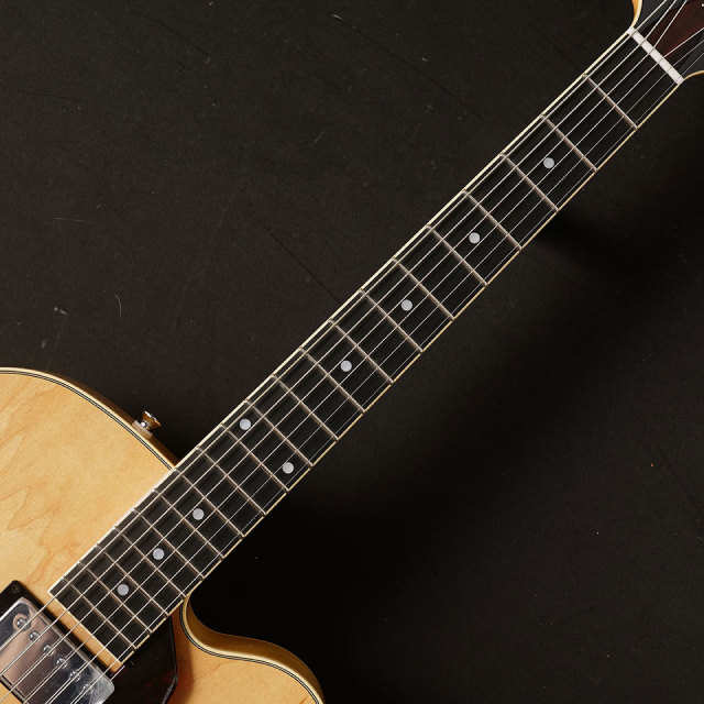 Aria Pro II/FA-1000 N(Natural) #3033【在庫あり】