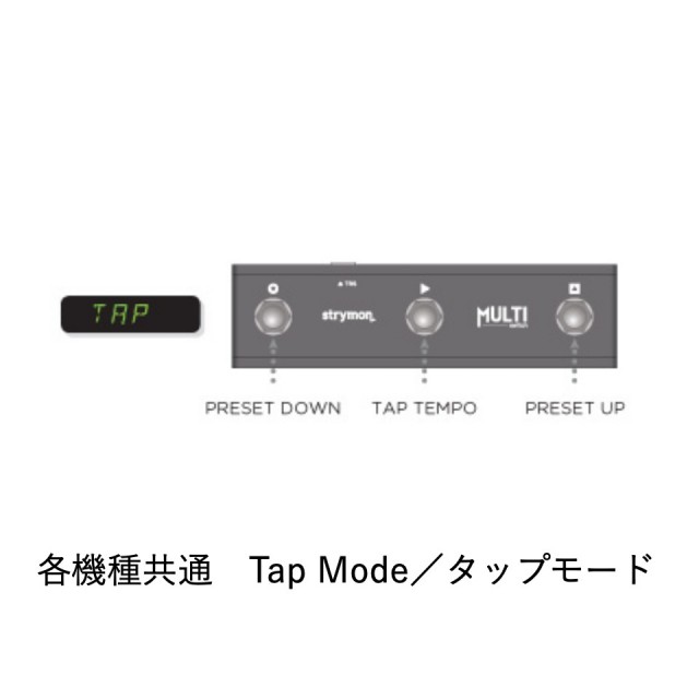 strymon/MultiSwitch【お取り寄せ商品】