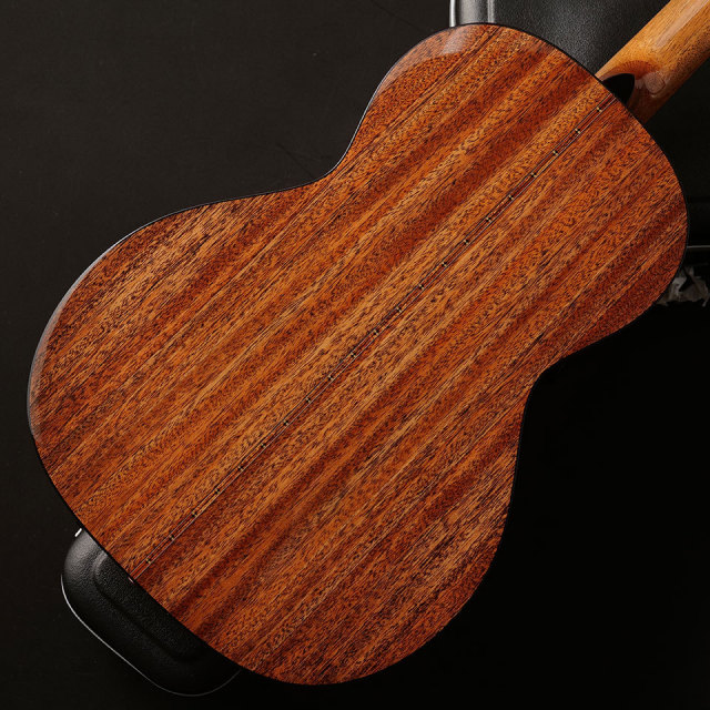 モーリス s91、ヒコム Morris/Y-91 MARRONE (w / L.R Baggs ELEMENT Pickup)【在庫あり】