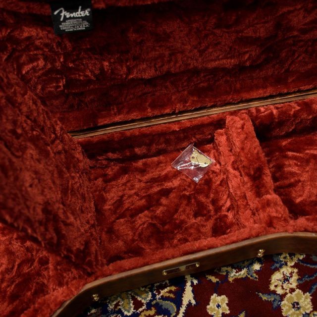 Fender/Classic Series Poodle Case For Stratocaster