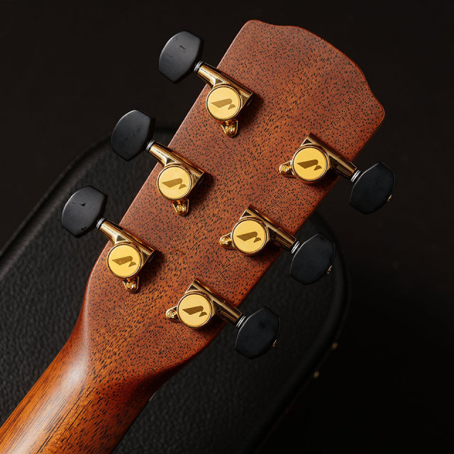 Morris/S-101M 南澤大介 Signature Model【お取り寄せ商品】