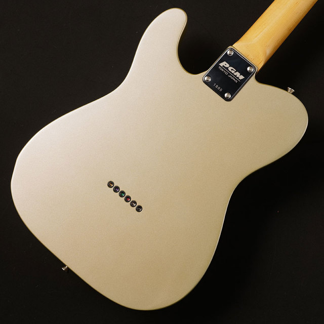 K.Nyui Custom Guitar/KN-TE Thinline 69 (Shoreline Gold) with