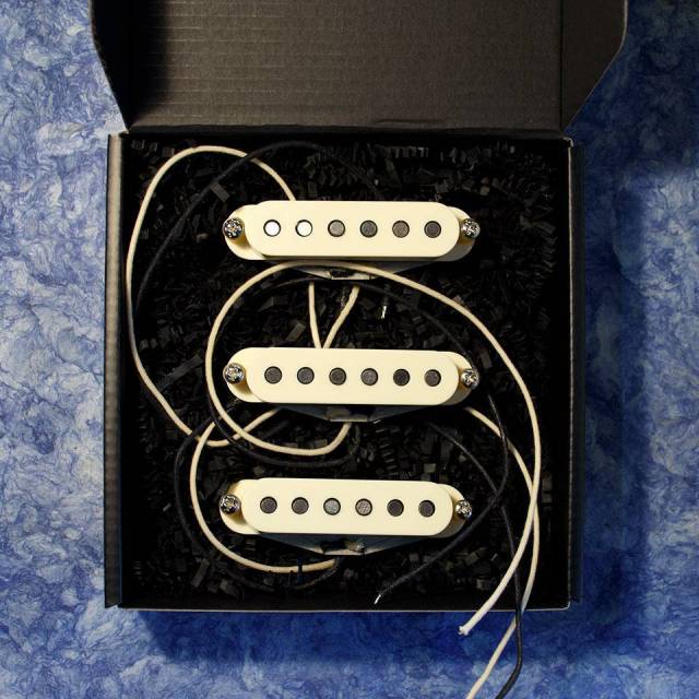 Total Gravy Guitarworks/69 Strat Set / Aged【お取り寄せ商品】
