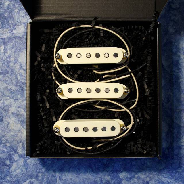 Total Gravy Guitarworks/60s Blackbottom Strat Set / Aged【お取り寄せ商品】