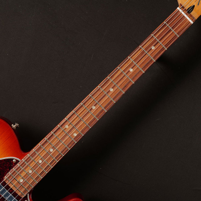 Fender/Player Plus Nashville Telecaster, Pau Ferro Fingerboard