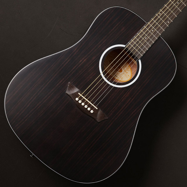Washburn/EBONY D【B級特価 MGK】【在庫あり】