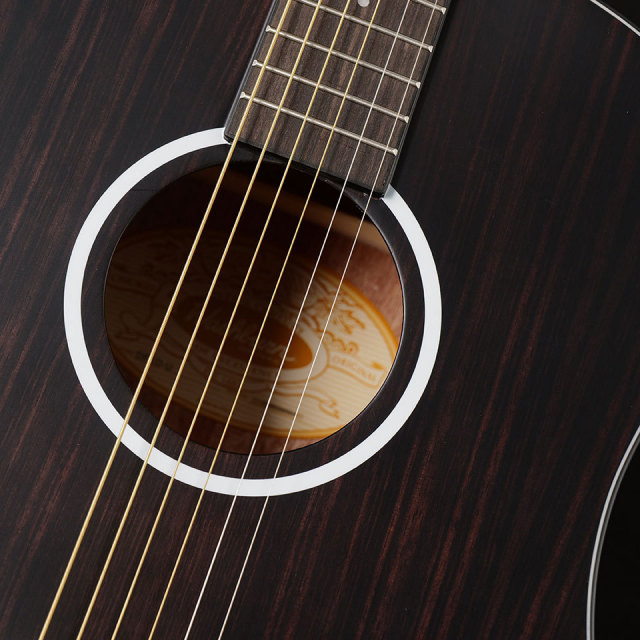 Washburn/EBONY D【B級特価 MGK】【在庫あり】