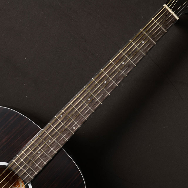 Washburn/EBONY D【B級特価 MGK】【在庫あり】